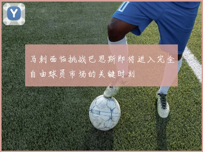 马刺面临挑战巴恩斯即将进入完全自由球员市场的关键时刻